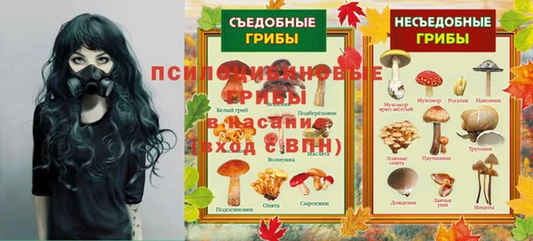 прущая мука Алексин
