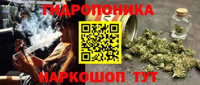 каннабис Северобайкальск