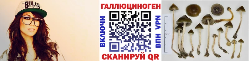 как найти   Туапсе  Галлюциногенные грибы GOLDEN TEACHER 
